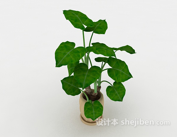 绿色室内盆栽3d模型下载