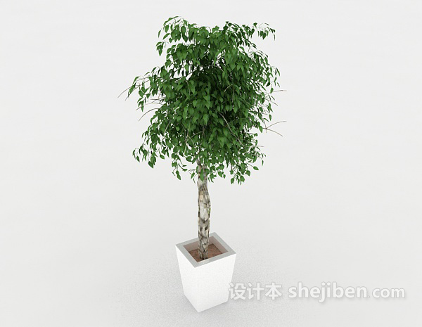 免费装饰性绿色盆栽3d模型下载