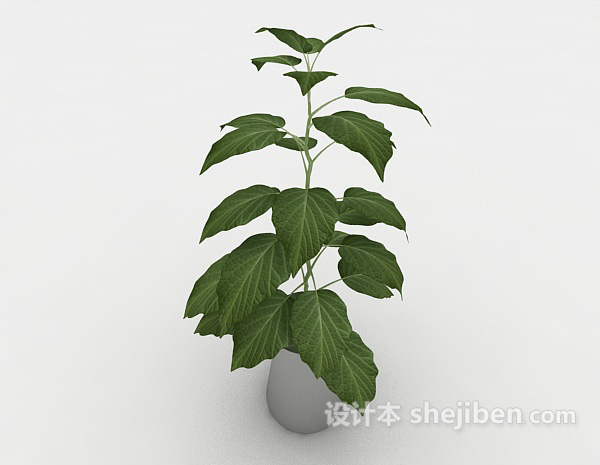 设计本常见绿色室内盆栽3d模型下载
