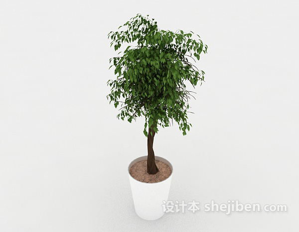 设计本室内植株盆栽3d模型下载
