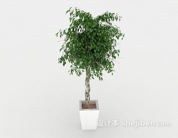 设计本装饰性绿色盆栽3d模型下载