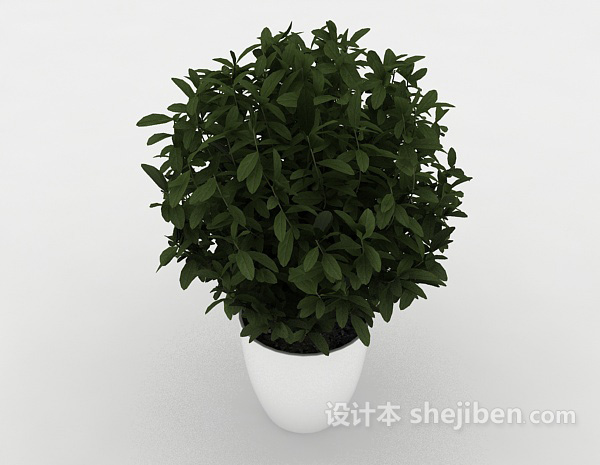 设计本居家绿色小盆栽3d模型下载