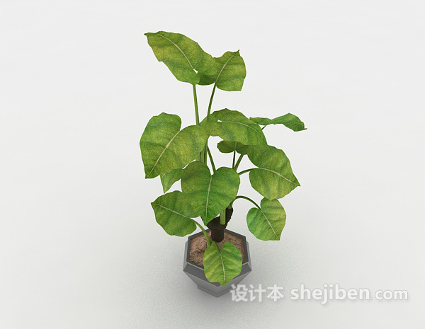 现代风格绿色葱茏植株3d模型下载
