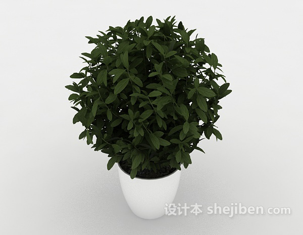居家绿色小盆栽3d模型下载