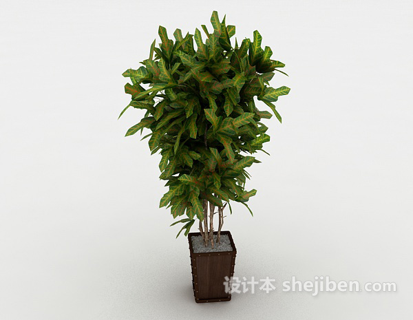 室内庭院盆栽3d模型下载