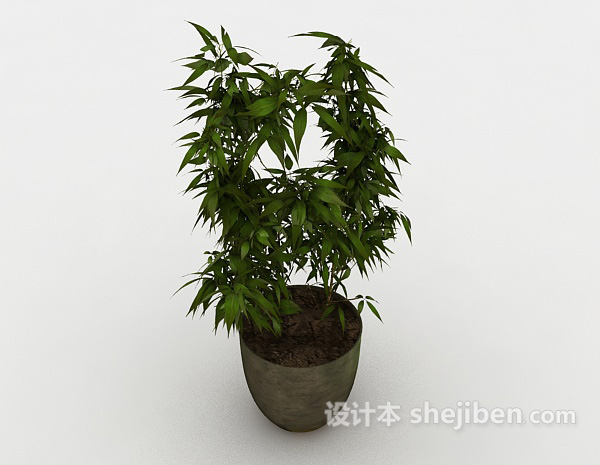 室内观赏植物3d模型下载
