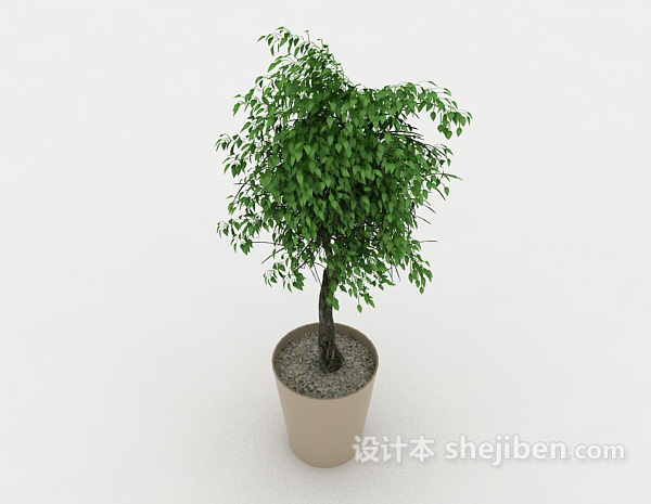 现代风格室内休闲植物盆景3d模型下载