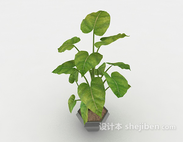 设计本绿色葱茏植株3d模型下载