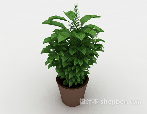 嫩绿室内盆栽3d模型下载