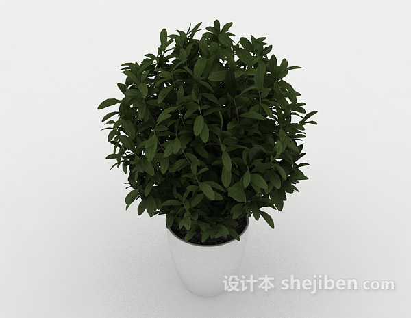 免费室内盆栽装饰3d模型下载