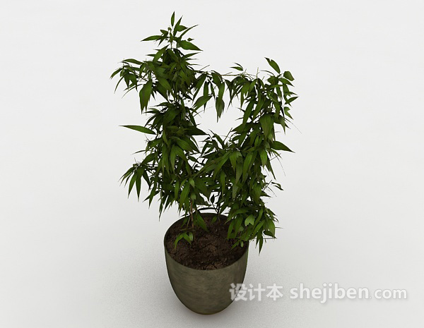 现代风格室内观赏植物3d模型下载