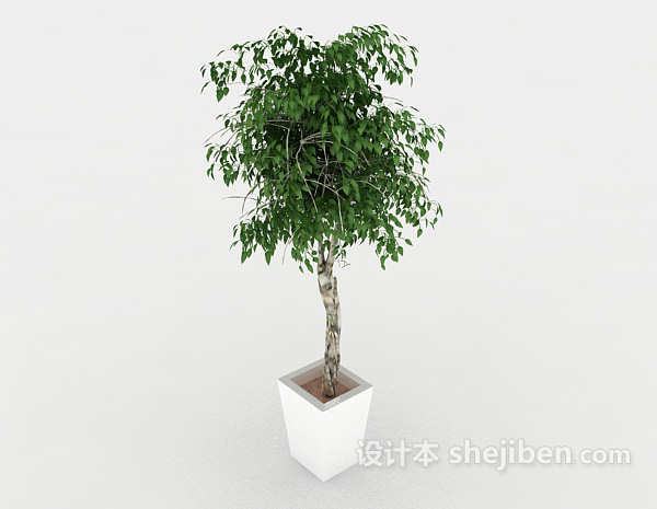 装饰性绿色盆栽3d模型下载