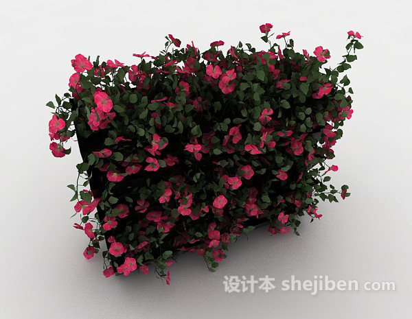 免费室内植物装饰3d模型下载