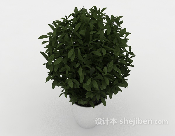 设计本室内盆栽装饰3d模型下载