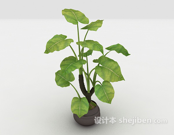 设计本室内观赏性植物3d模型下载