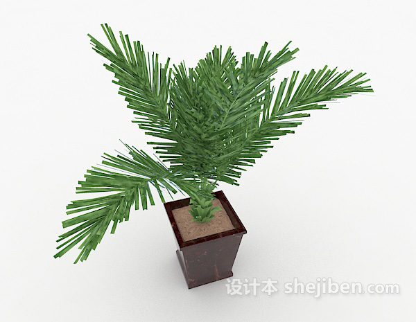 设计本装饰性铁树盆景3d模型下载
