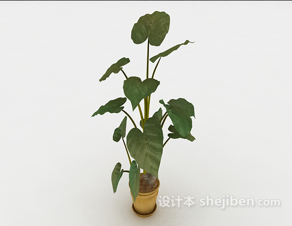 装饰室内小盆栽3d模型下载