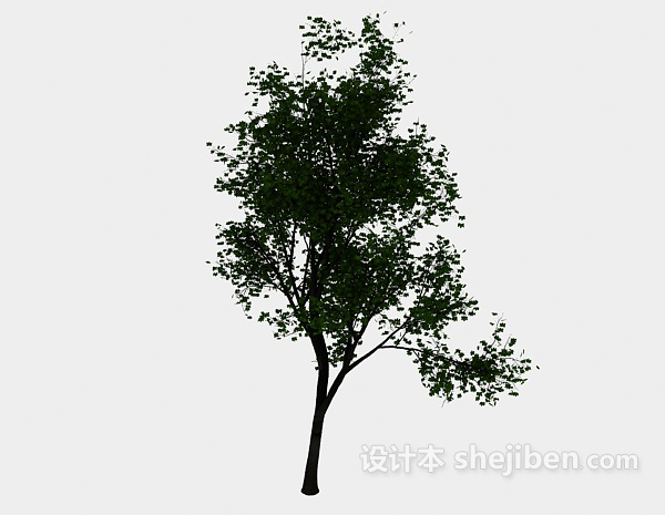 免费植树3d模型下载