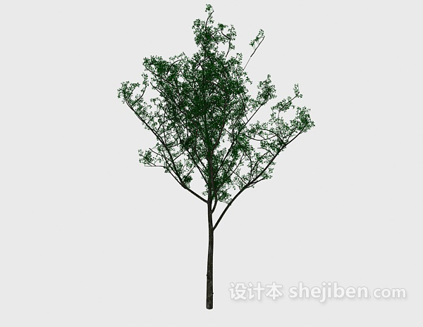 设计本公园树3d模型下载