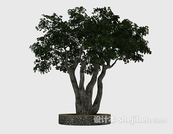 设计本园艺绿树3d模型下载