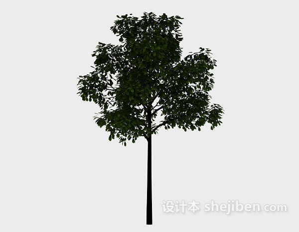 免费庭院树3d模型下载