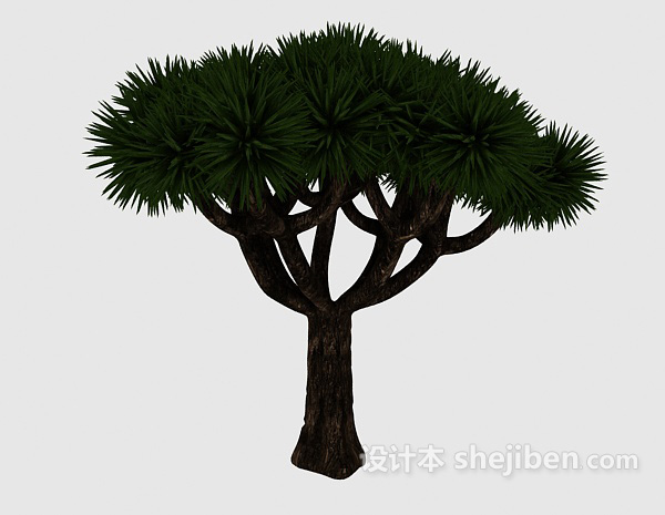 设计本观赏型松树3d模型下载