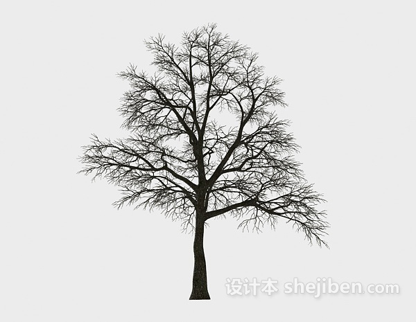 设计本冬季树3d模型下载