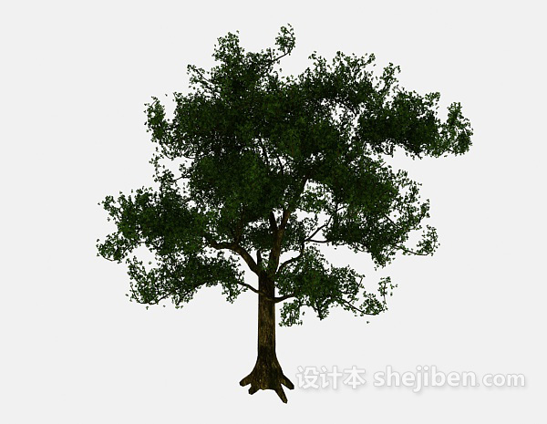 免费公园大树3d模型下载