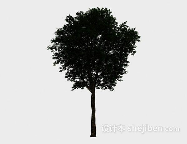 现代风格庭院圆大树3d模型下载