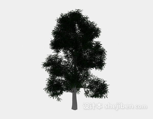 免费公园大绿树3d模型下载