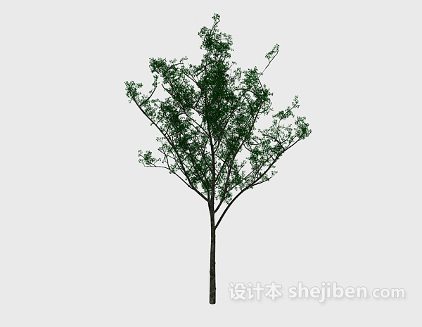 免费公园树3d模型下载