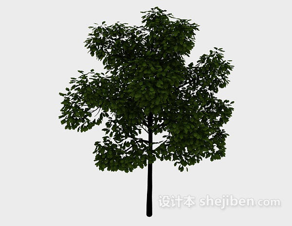 庭院树3d模型下载