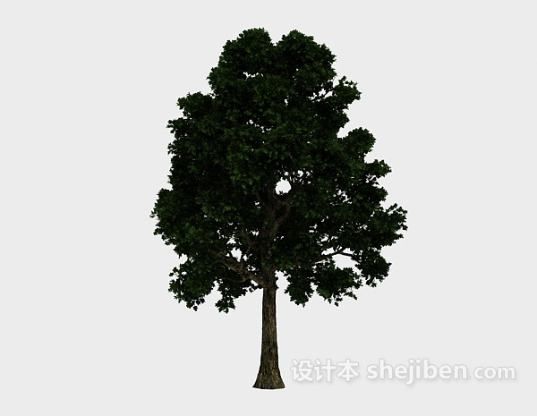 现代风格茂密大植树3d模型下载