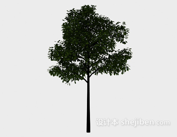 设计本庭院树3d模型下载