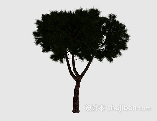 免费矮松树3d模型下载