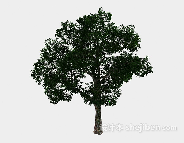 公园绿树3d模型下载