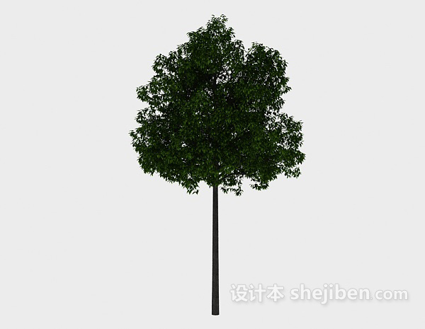 设计本园林高树3d模型下载