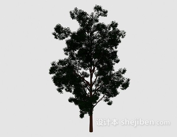 森林大树3d模型下载
