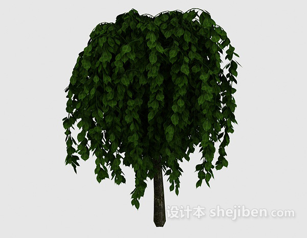 茂密绿树3d模型下载