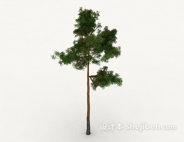设计本室外树3d模型下载