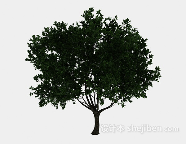 常青绿树3d模型下载