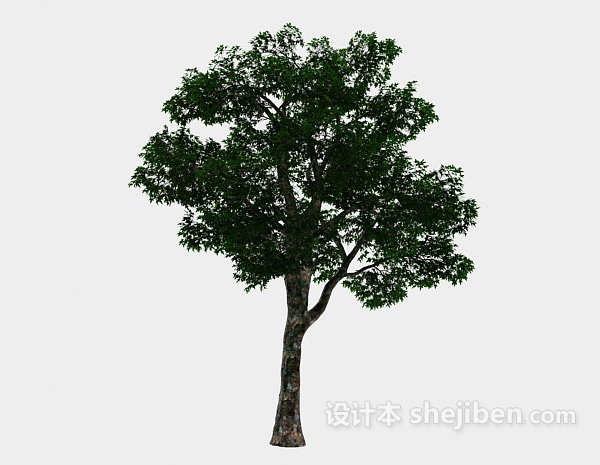 免费公园绿树3d模型下载