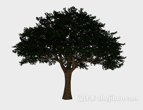设计本现代景观树3d模型下载