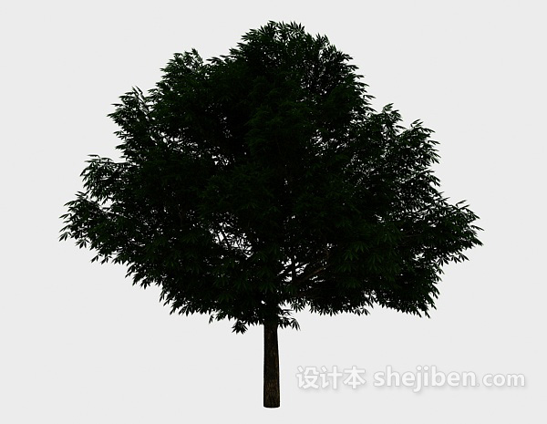 庭院大树3d模型下载