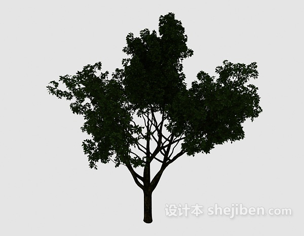 设计本庭院大绿树3d模型下载