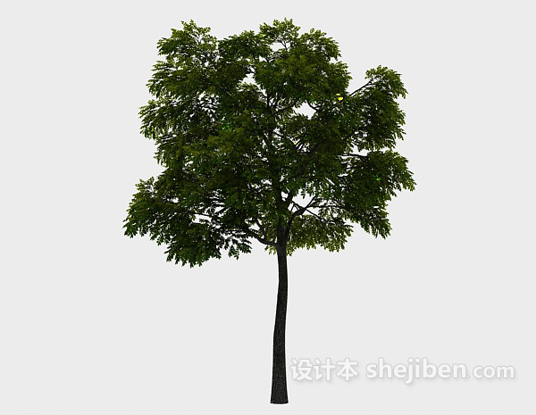 设计本公园植树3d模型下载