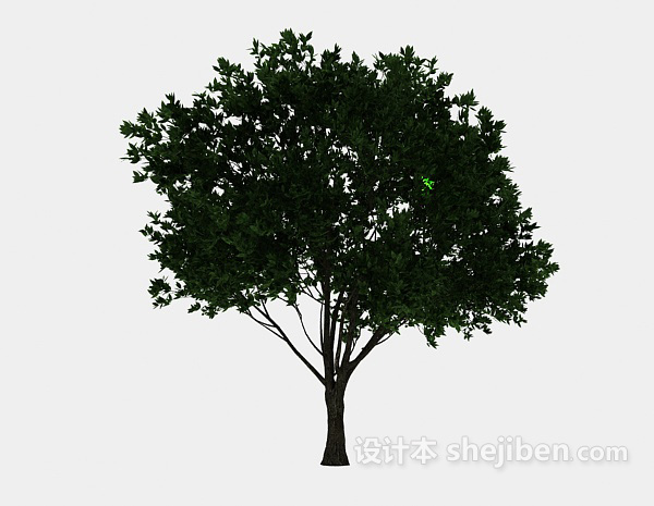 免费常青绿树3d模型下载