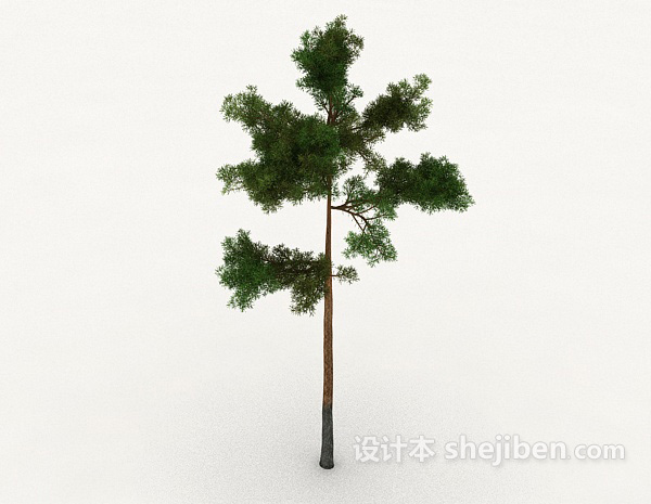 免费室外树3d模型下载