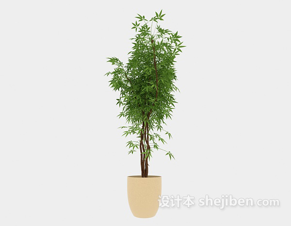 现代风格环保盆栽植物3d模型下载