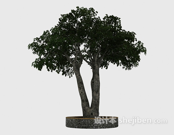 免费园艺绿树3d模型下载